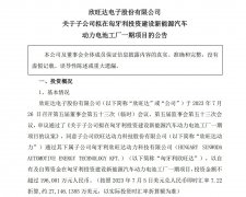 欣旺达计划投资 19.6 亿元在匈牙利建立电动汽车动力电池工